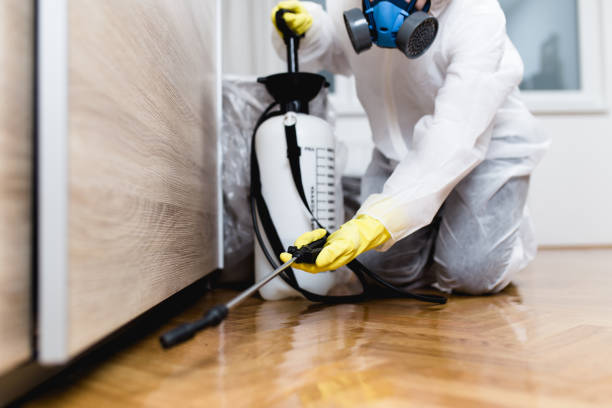 Best Pest Removal Services  in Ridgeway, AK