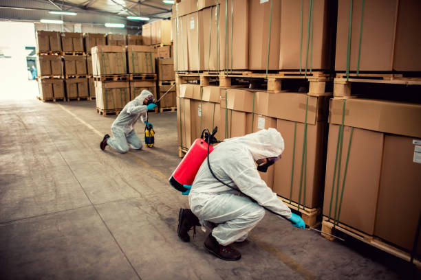 Best Affordable Pest Control Services  in Ridgeway, AK