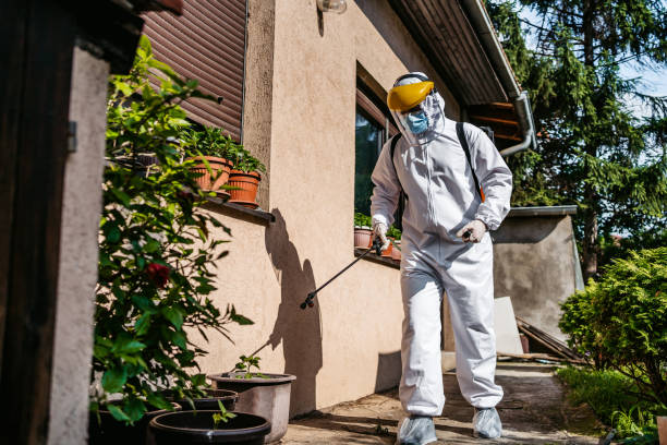 Best Best Pest Control Companies  in Ridgeway, AK