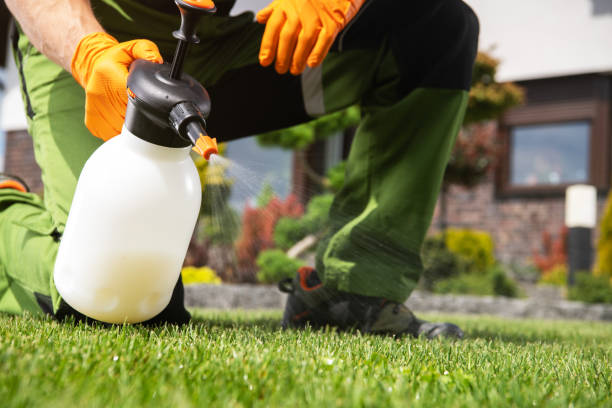 Trusted Ridgeway, AK Pest Control Experts