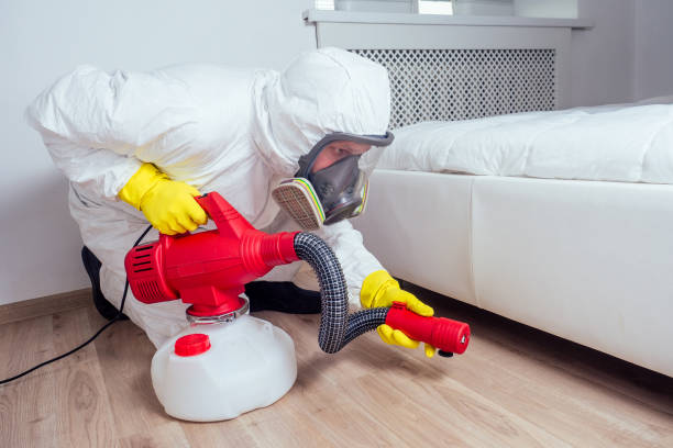 Best Exterminator Services  in Ridgeway, AK