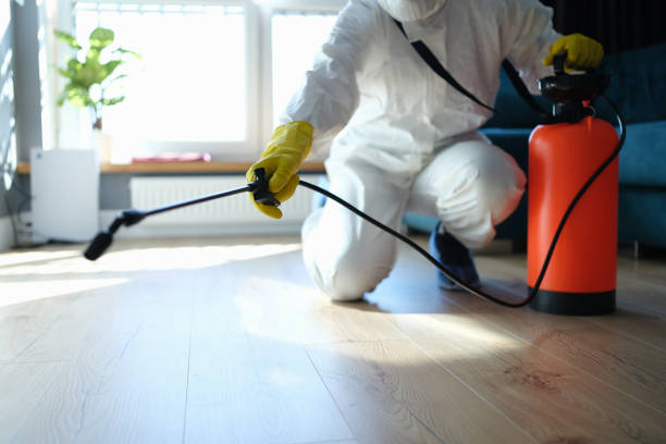 Best Mosquito Control Services  in Ridgeway, AK
