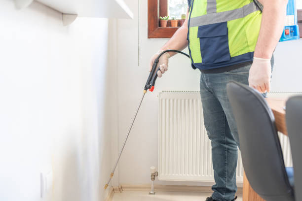 Best Affordable Pest Control Services  in Ridgeway, AK