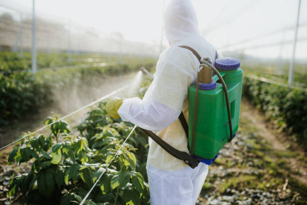 Best Local Pest Control Services  in Ridgeway, AK